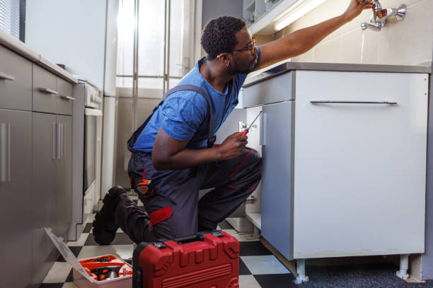 Best Plumbing Inspection Services  in Avoca, PA